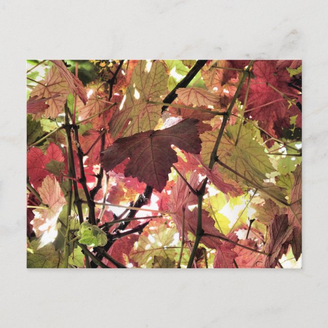 AUTUMN VYKORT (Framsida)