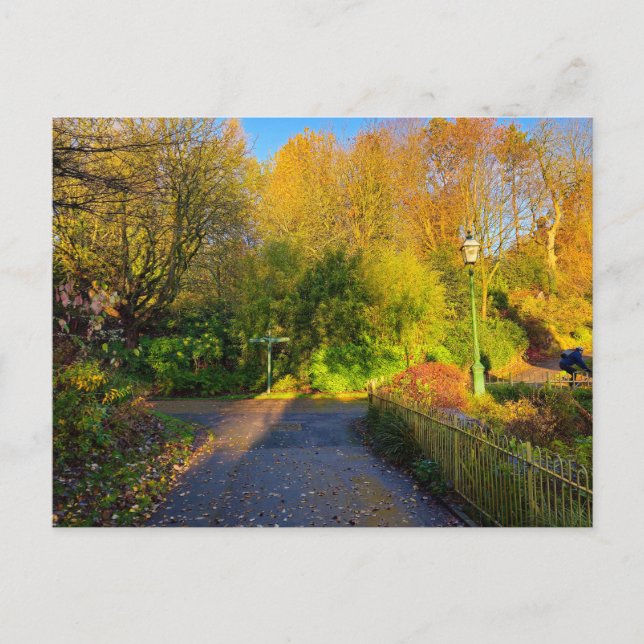 Autumn  vykort (Framsida)