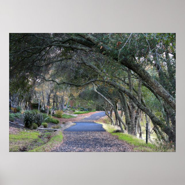 "Autumn Walk" Poster (Framsidan)