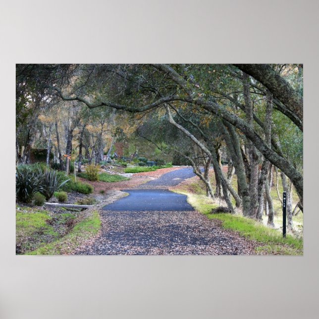 "Autumn Walk" Poster (Framsidan)