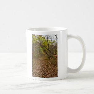 Autumn Walkway Kaffemugg