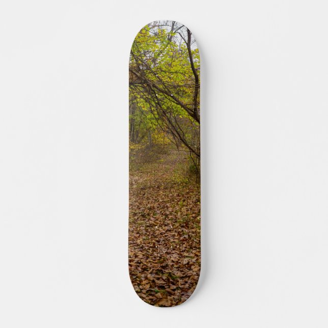 Autumn Walkway Skateboard Bräda 19,5 Cm (Framsida)