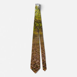 Autumn Walkway Tie Slips