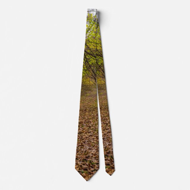 Autumn Walkway Tie Slips (Framsida)