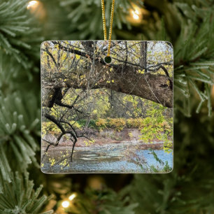 Autumn Waterscape Ornament