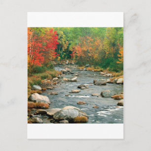 Autumn White Mountains New Hampshire Vykort