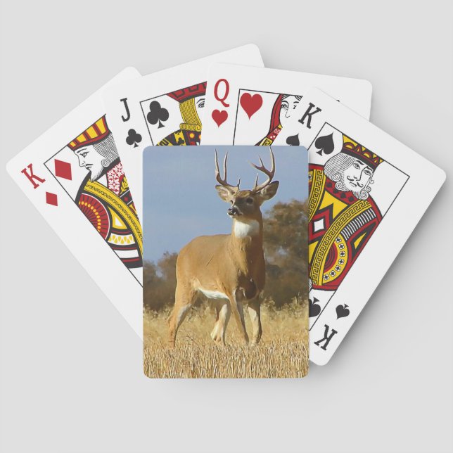 Autumn Whitetail Buck Casinokort (Baksidan)