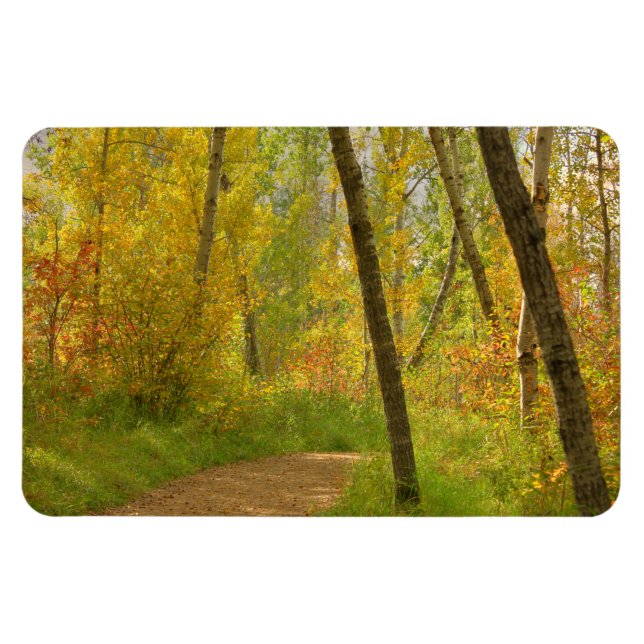 Autumn Woodlands Magnet (Horisontell)
