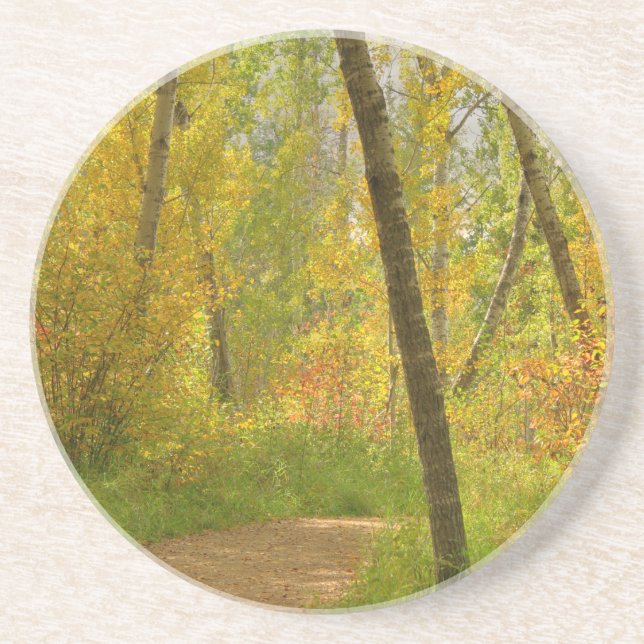Autumn Woodlands Underlägg Sandsten (Framsidan)