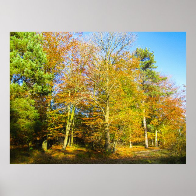 Autumn Woods & Sunshine - Personalised Poster (Framsidan)