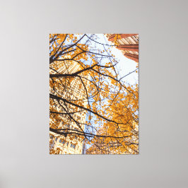 Autumnal Träd i City Canvastryck
