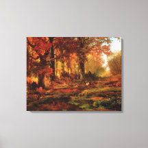 Autumnal Träd i Cresheim Glen (Philadelphia)