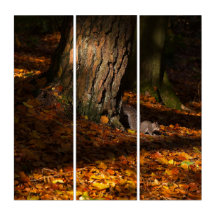 Autumnalekorre Triptych