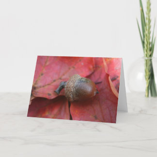 AUTUMNS PROMISE KORT