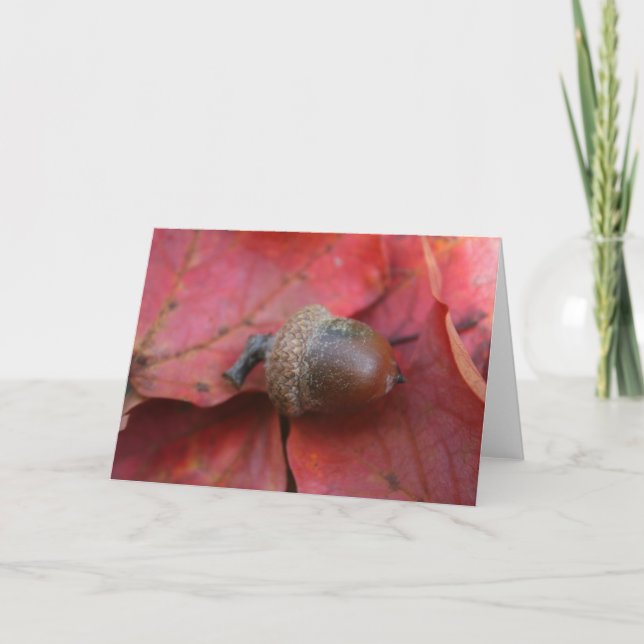 AUTUMNS PROMISE KORT (Framsida)