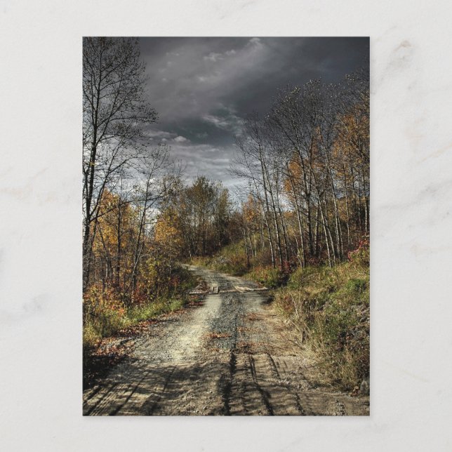 Autumns Road Vykort (Framsida)