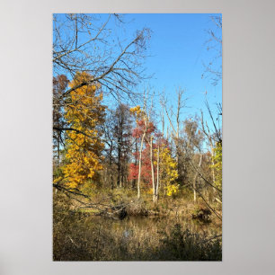 Autumreflektioner på Bäck Poster