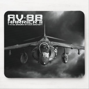 AV--8Bengelsk harhund II Musmatta