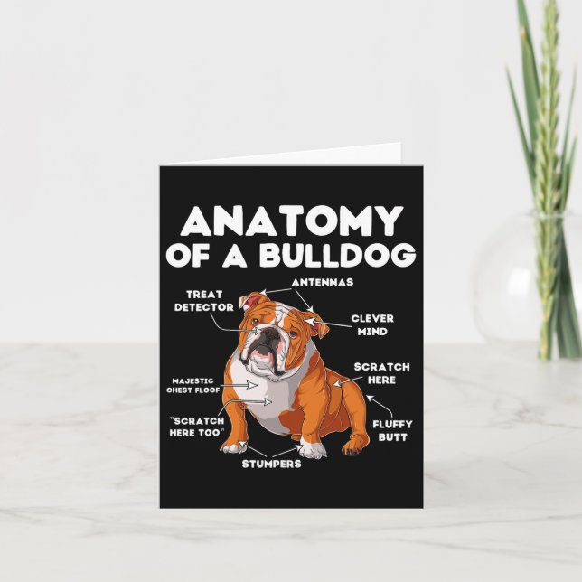 Av en bulldog kort (Framsida)