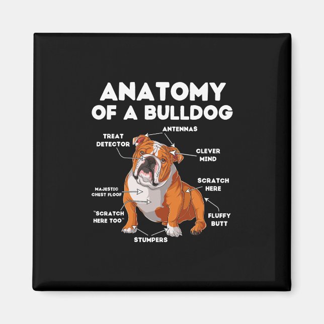 Av en bulldog magnet (Framsidan)