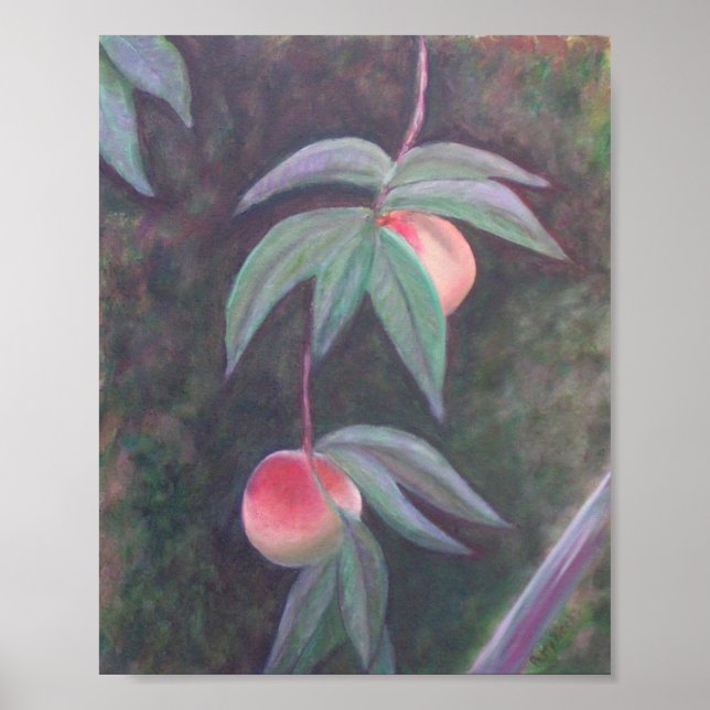 AV FLORIDA PEACHES Poster (Framsidan)