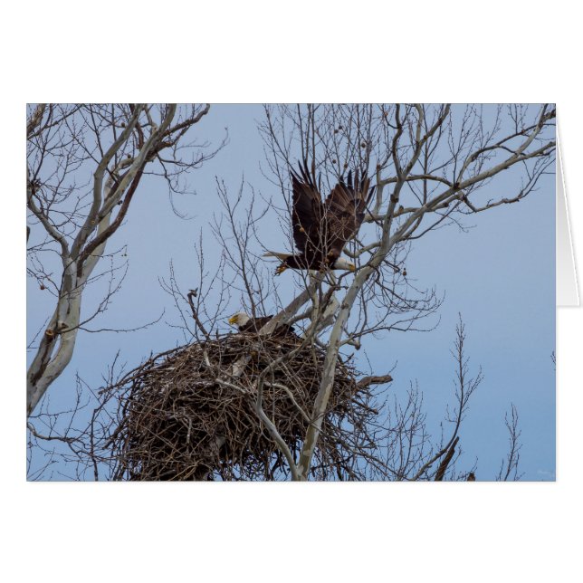 Av för mer OBS kort (Framsidan Horizontal)