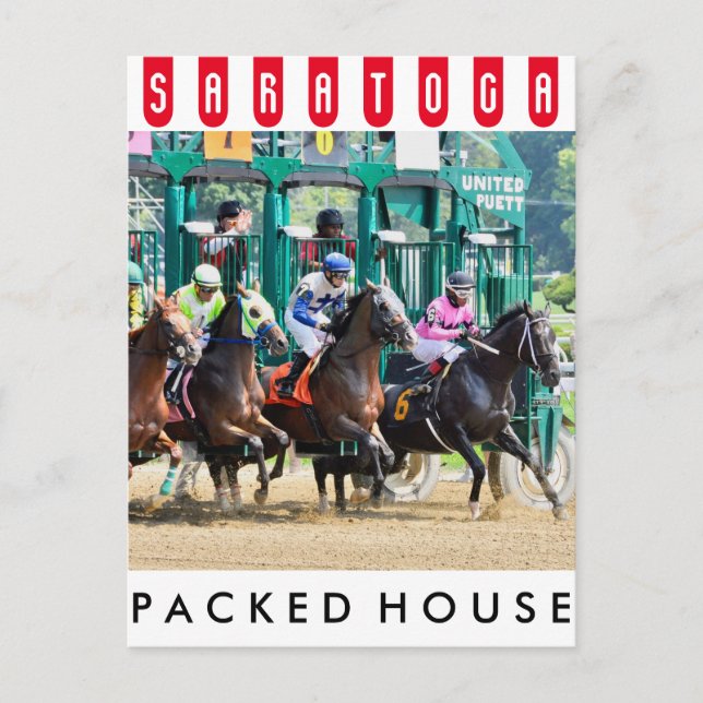 Av i Saratoga Vykort (Framsida)