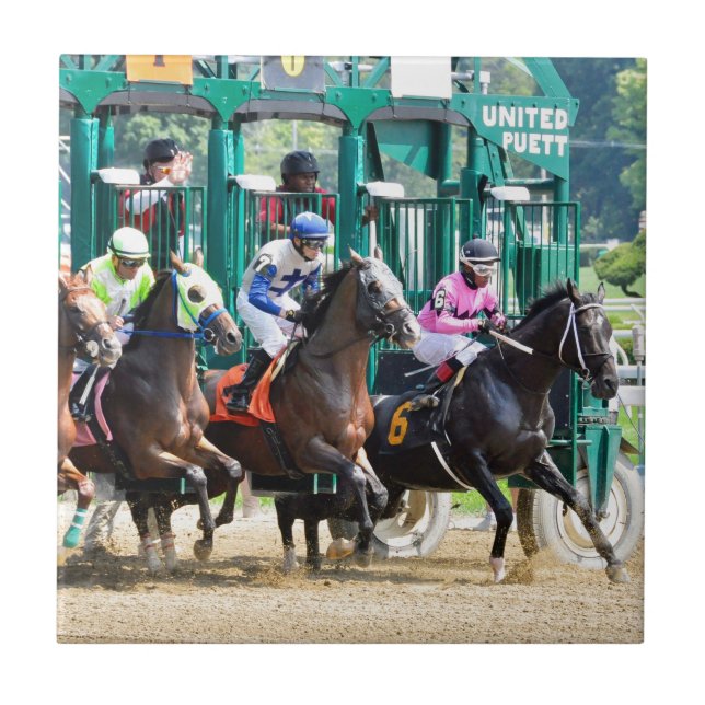 Av på Saratoga Kakelplatta (Framsidan)