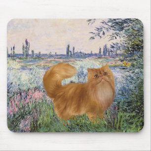 Av Seine - Red Persian cat Musmatta