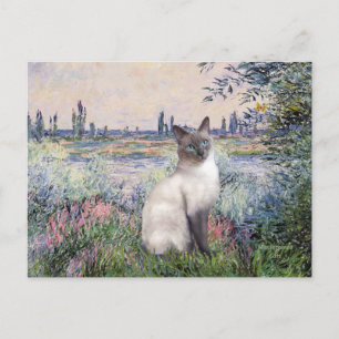 Av siamesisk katt från Seine - Blue Point Vykort