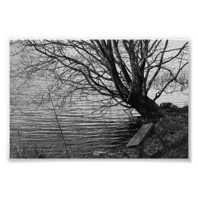 Av sjö fototryck (Framsidan)
