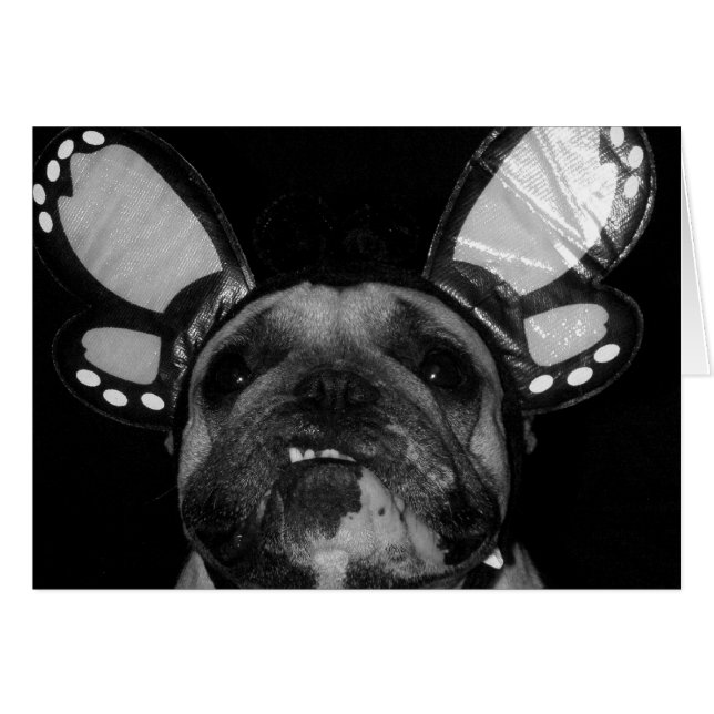 Ava Butterfly-kort OBS Kort (Framsidan Horizontal)