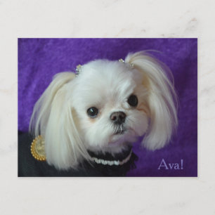 Ava noterar kort