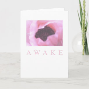 AVakakort: Rosa Poppy Kort