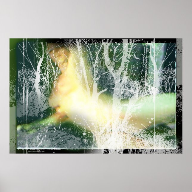 AVaky av Gregory Gallo Poster (Framsidan)