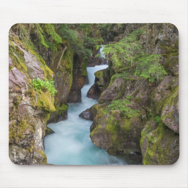 Avalanche Creek, Glacier National Park, Montana Musmatta (Framsidan)