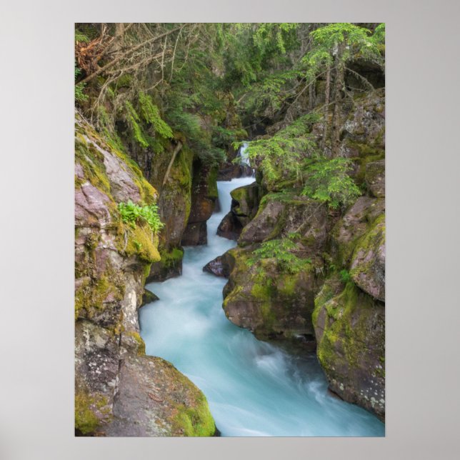 Avalanche Creek, Glacier National Park, Montana Poster (Framsidan)
