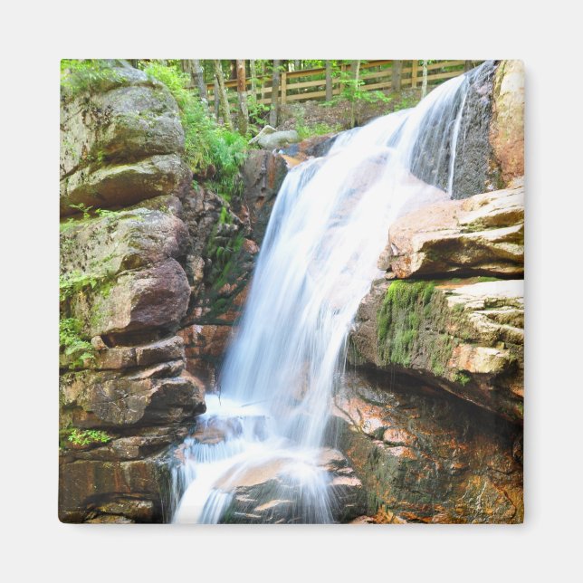 Avalanche Falls Waterfall New Hampshire Magnet (Framsidan)