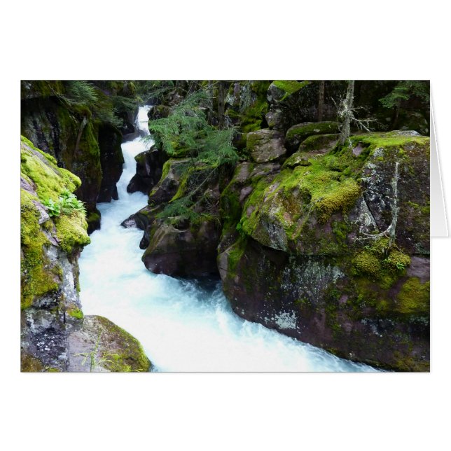 Avalanche Gorge I i Glacier nationalpark Hälsningskort (Framsidan Horizontal)