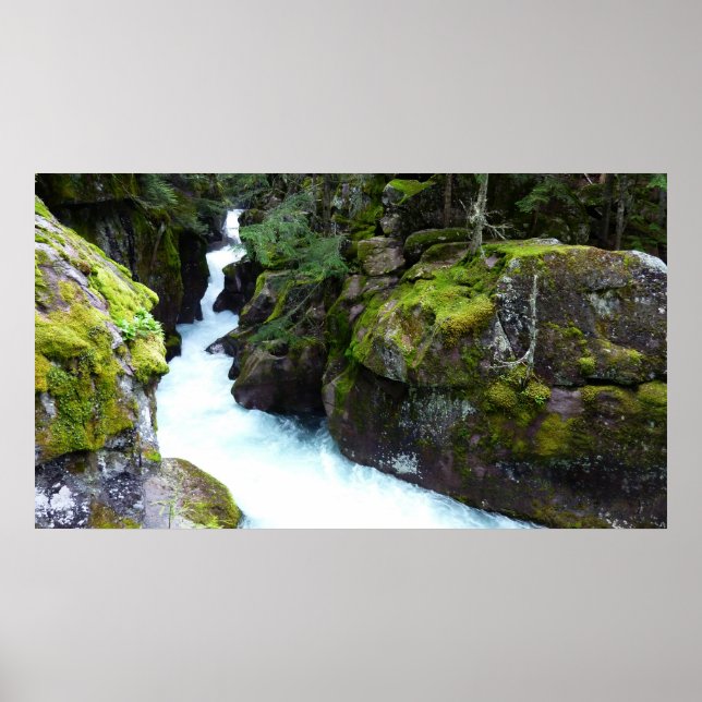 Avalanche Gorge I i Glacier nationalpark Poster (Framsidan)