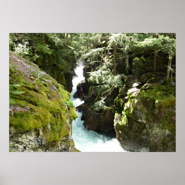 Avalanche Gorge II i Glacier National Park Poster (Framsidan)
