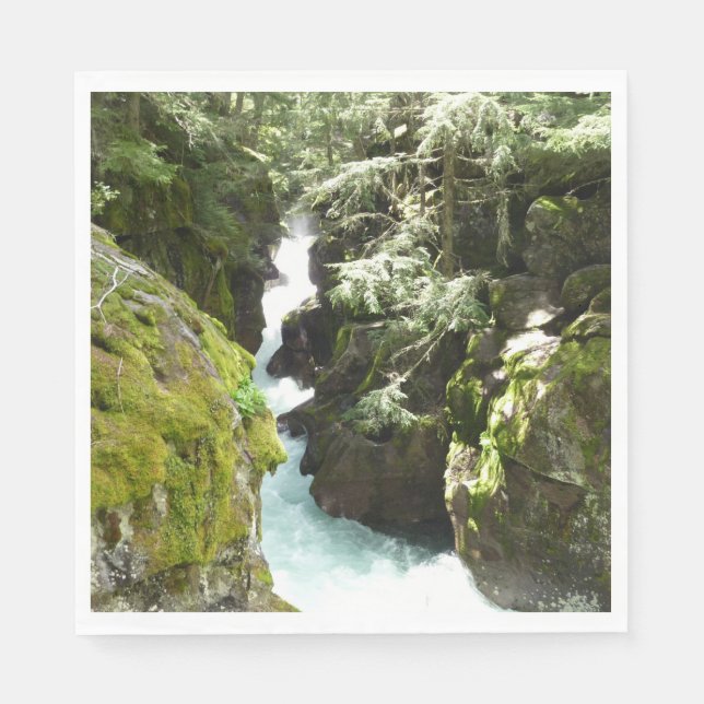 Avalanche Gorge II i Glacier nationalpark Pappersservett (Framsidan)