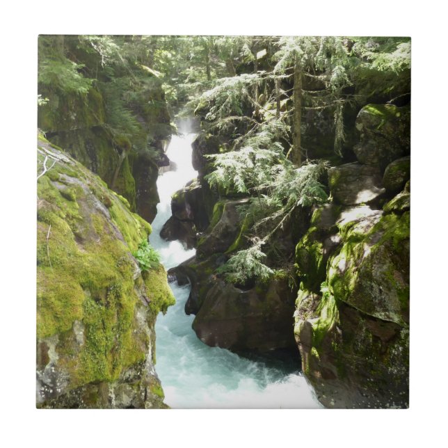 Avalanche Gorge II vid Glacier National Park Kakelplatta (Framsidan)