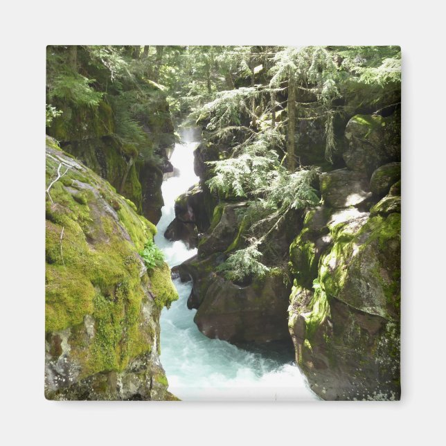 Avalanche Gorge II vid Glacier National Park Magnet (Framsidan)