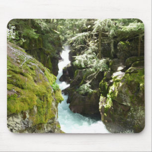 Avalanche Gorge II vid Glacier National Park Musmatta