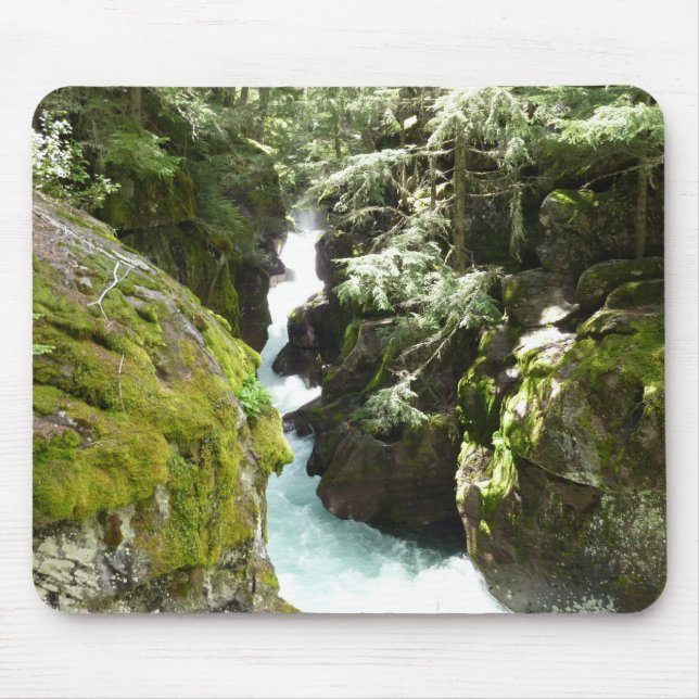 Avalanche Gorge II vid Glacier National Park Musmatta (Framsidan)