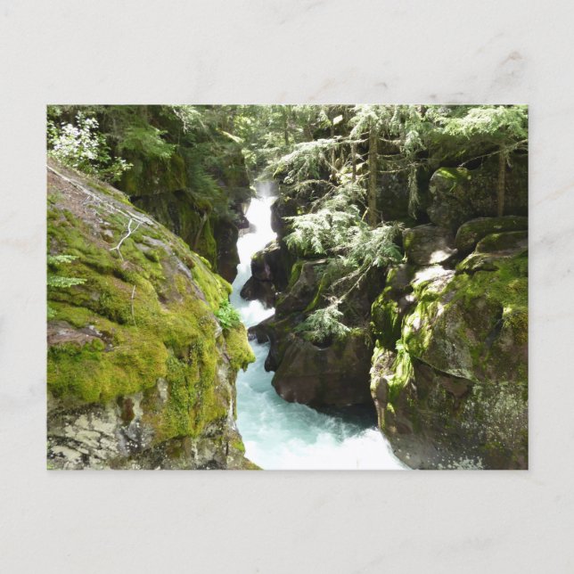Avalanche Gorge II vid Glacier National Park Vykort (Framsida)
