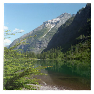 Avalanche Lake II i Glacier National Park Kakelplatta