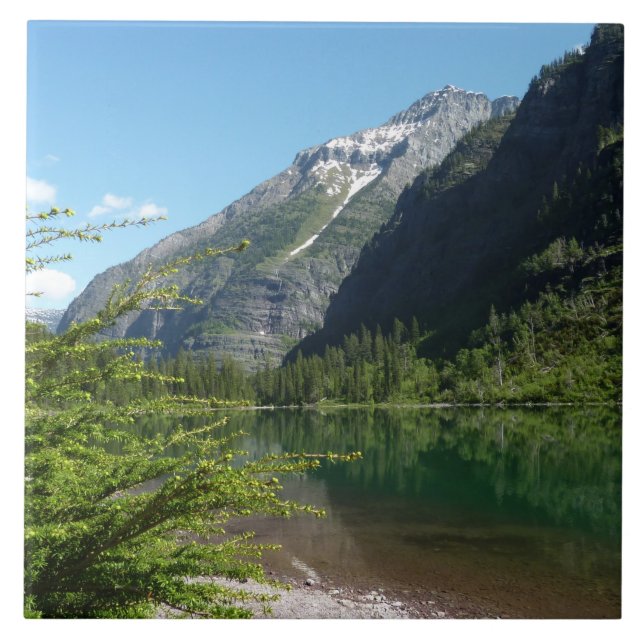Avalanche Lake II i Glacier National Park Kakelplatta (Framsidan)