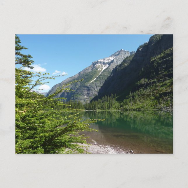 Avalanche Lake II i Glacier National Park Vykort (Framsida)